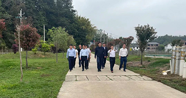 1617181244659505.jpg 25.jpg