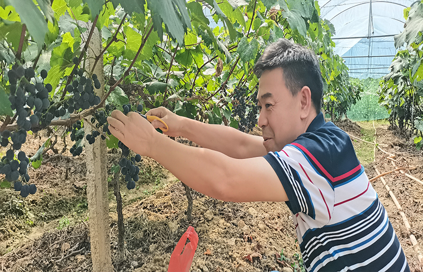 1624771835916749.jpg 5.jpg