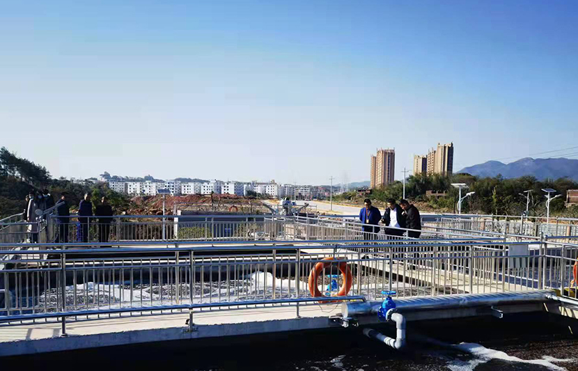 1638492962122515.jpg 3.jpg